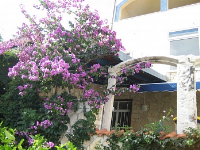 Holiday home 158990 - code 155201 - Apartments Marusici