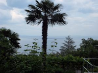 Apartments Marina Kroatia - Two-Bedroom Apartment with Terrace and Sea View - Opatija